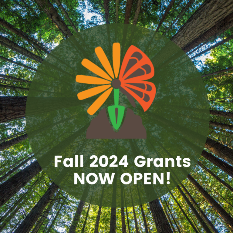 Fall 2024 Grant Cycle - Unity Gardens