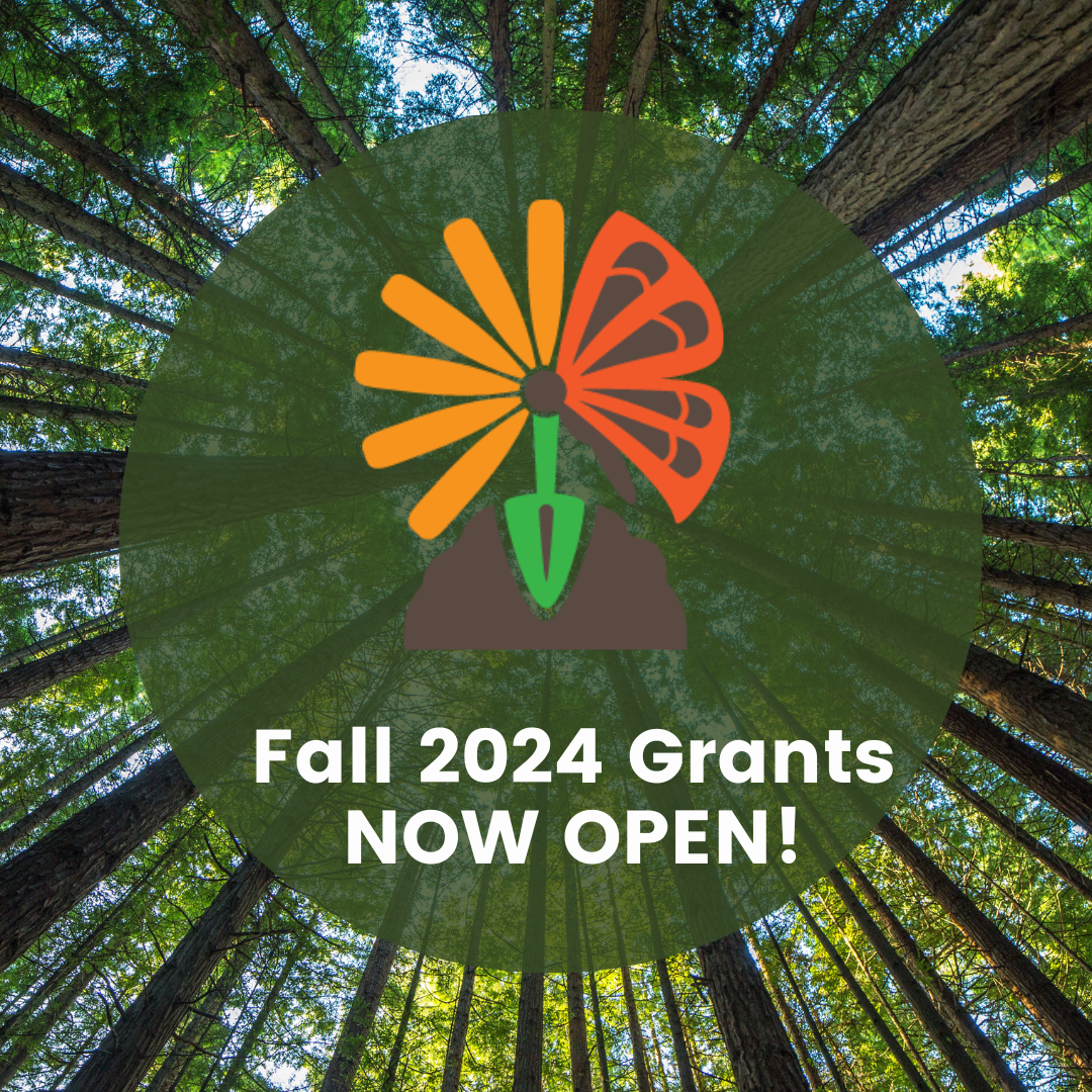 Our Fall Grant cycle is now open!