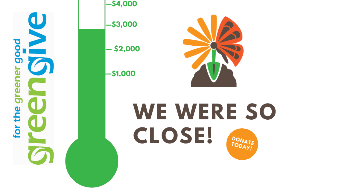 Thank you for supporting the GreenGive!
