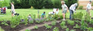 Crofton Village Garden Club
