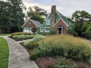 This image has an empty alt attribute; its file name is CapeBreeze-switchgrass_01-1024x768.jpg