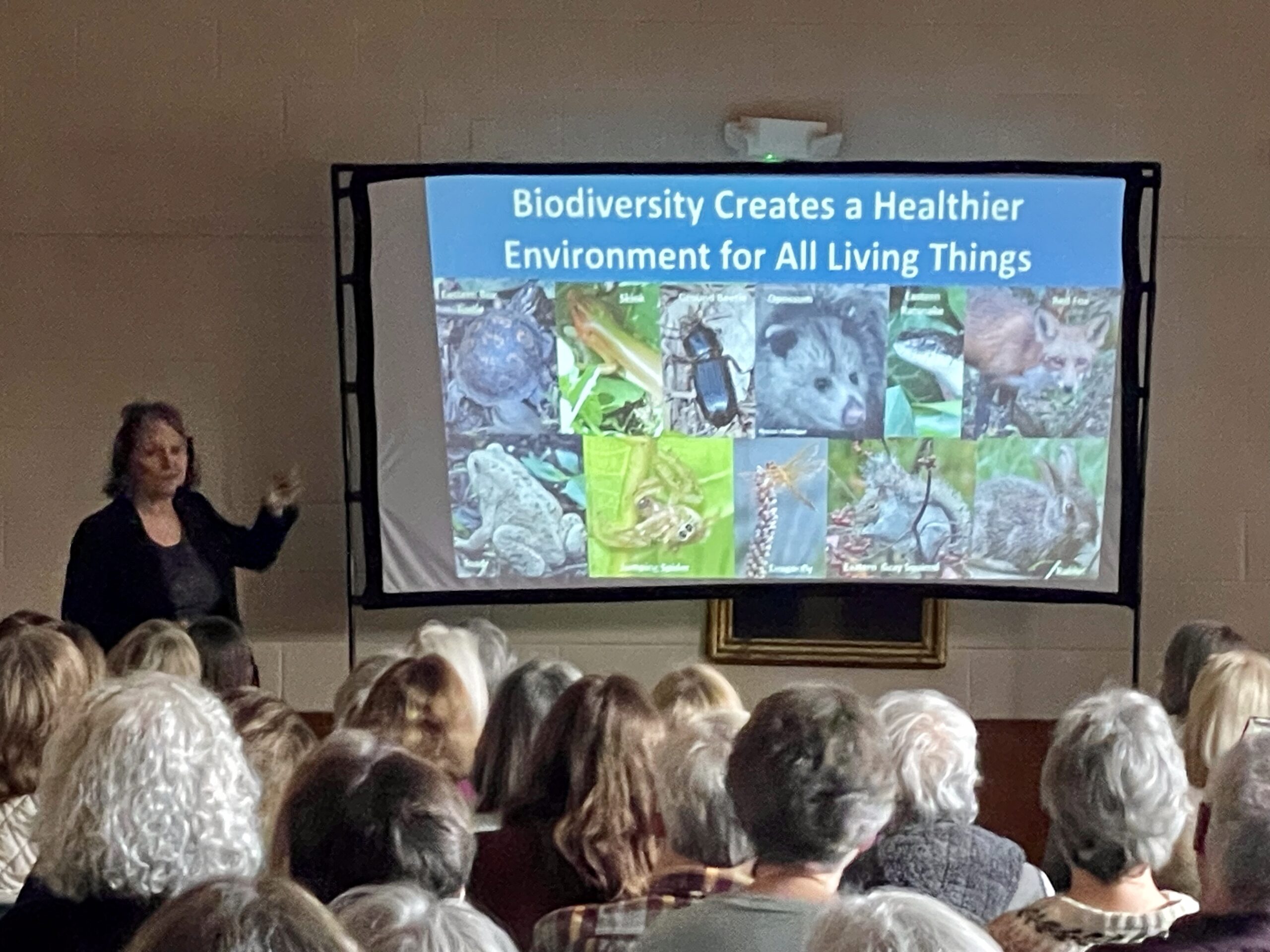 Thank You for Your Support!